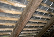 Untreated affected truss